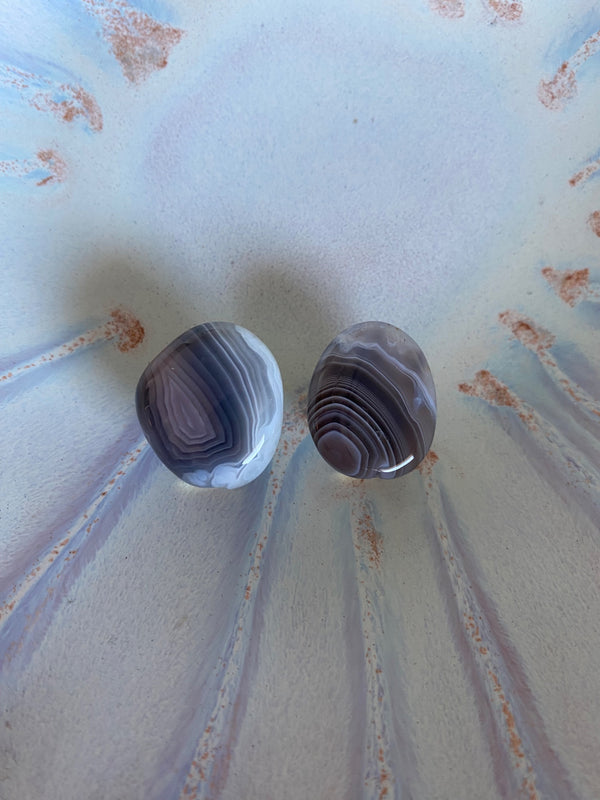 Yin Yang Botswana Agate Earrings  - 3