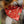 Load image into Gallery viewer, Big Tex in Red Dog Bandana - 3
