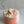 Load image into Gallery viewer, Peach Cobbler Candle - 1
