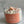 Load image into Gallery viewer, Peach Cobbler Candle - 3
