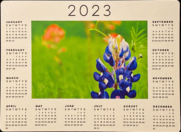 Bluebonnet Photography Print - 2