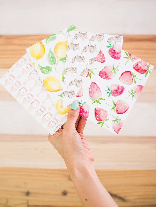 Armadillo Greeting Cards - Boxed Set of 6