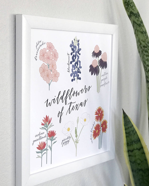 Wildflowers of Texas Hand Illustrated Wall Art Print