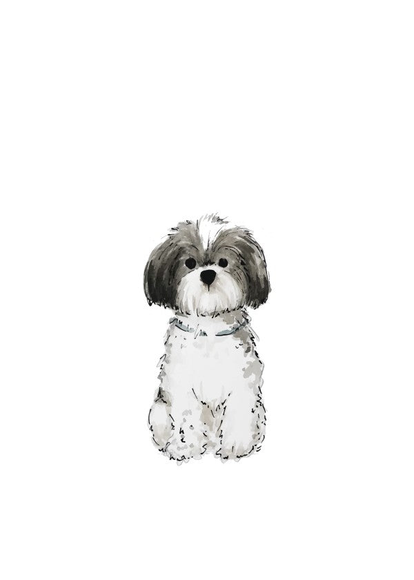 Shih Tzu Art Print